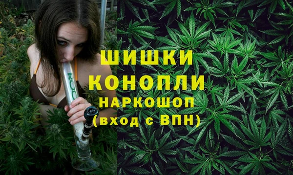 jwh Белокуриха