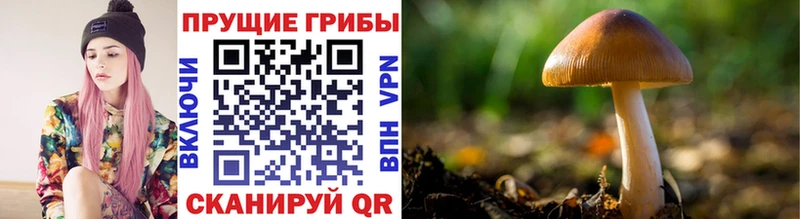 Псилоцибиновые грибы ЛСД Ельня